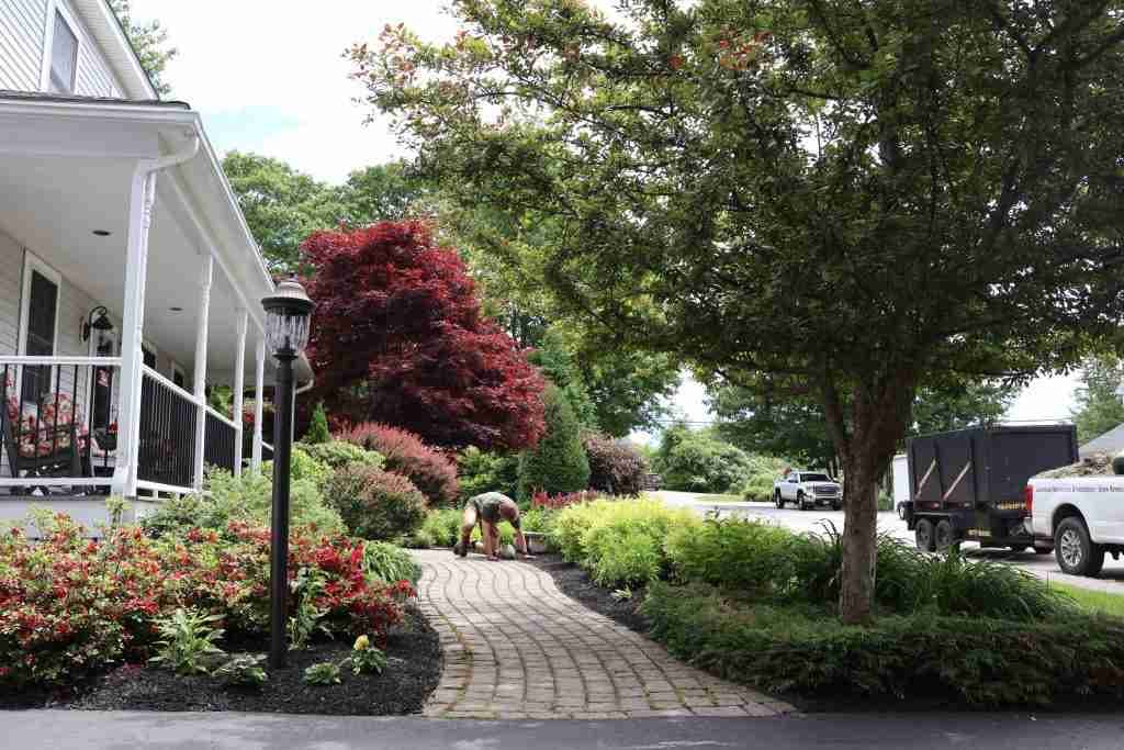 Fall Cutbacks in Southern Maine: What to Cut Back Now vs Spring