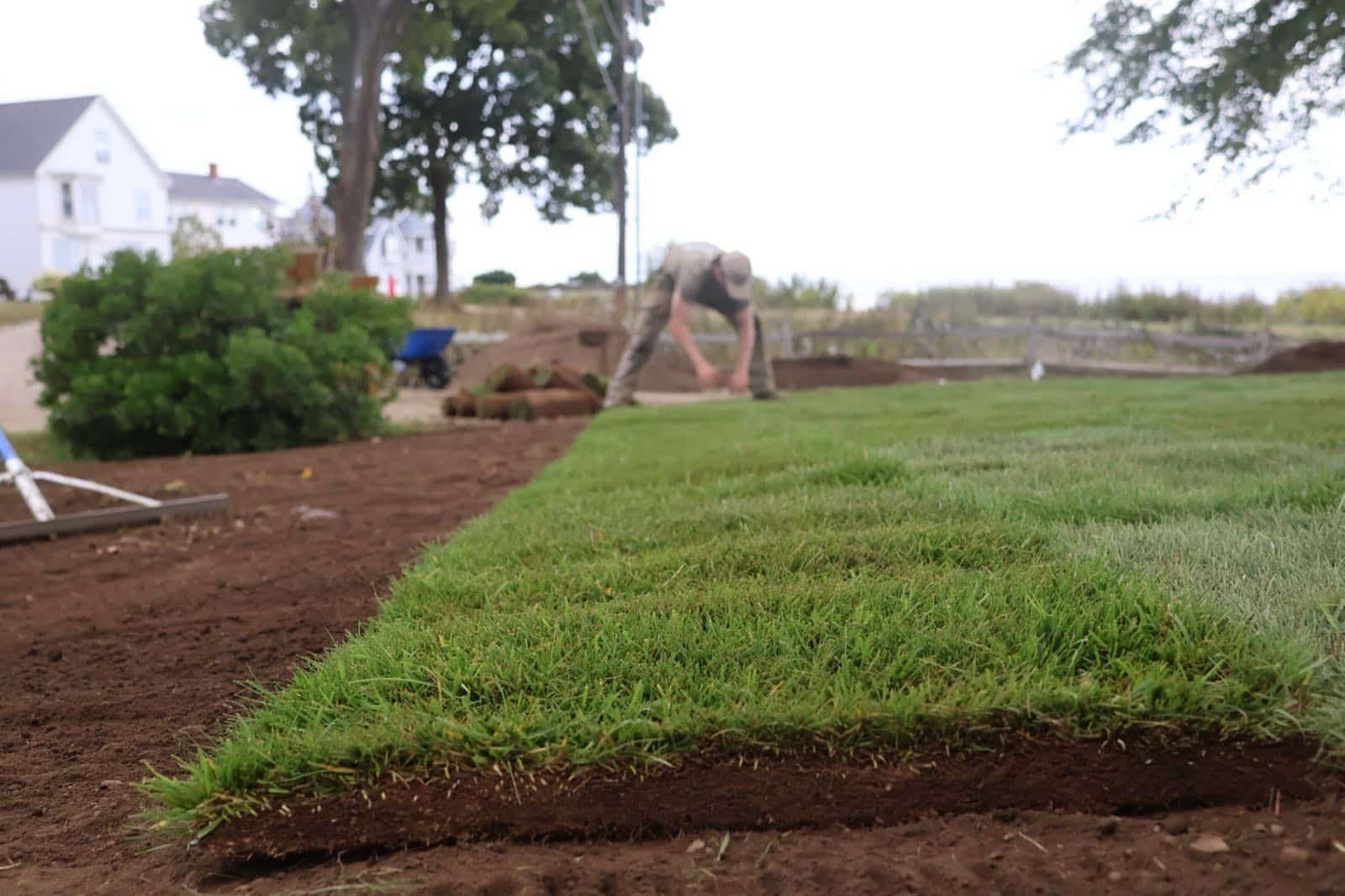 Landscape installation