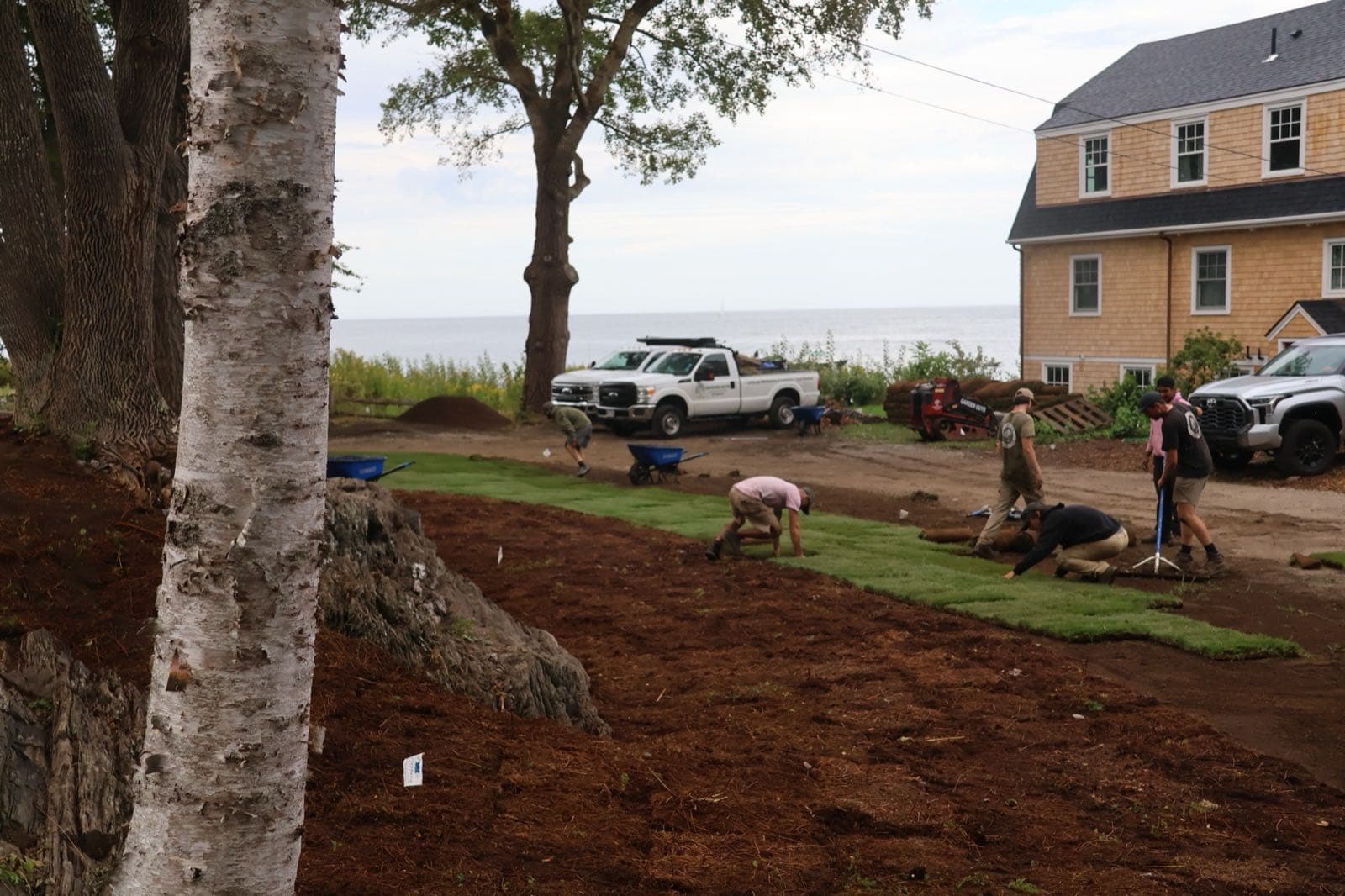 Coastal Lawn Project
