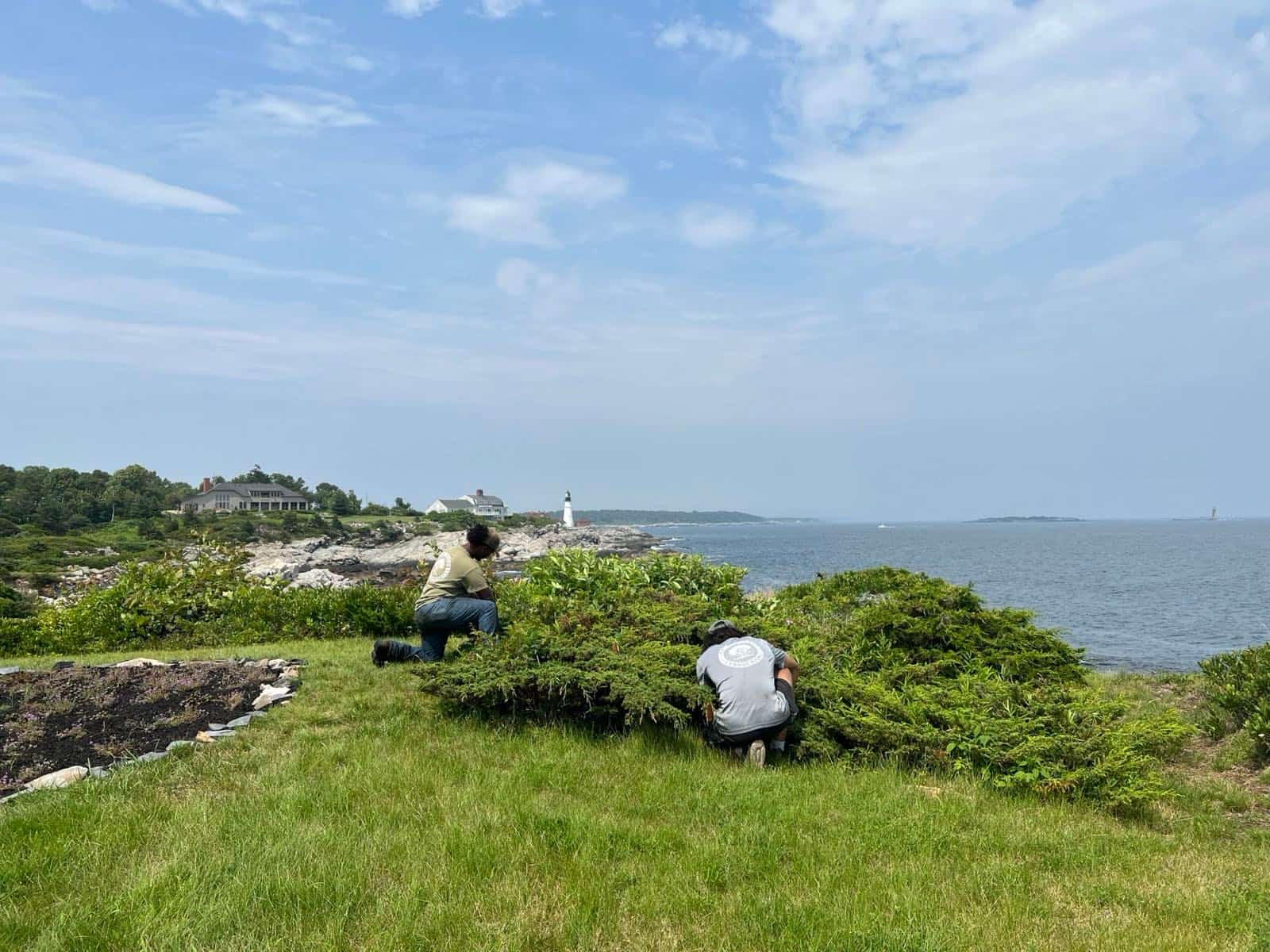Landscape Maintenance