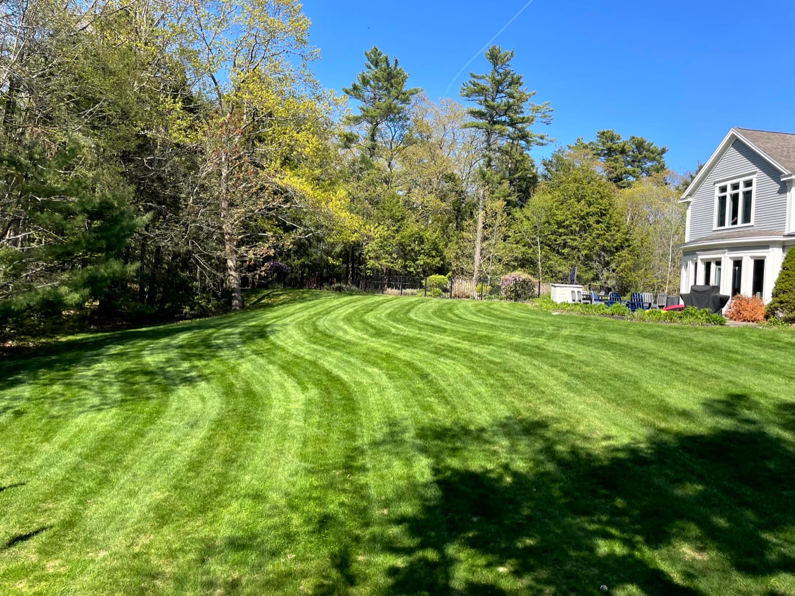 Lawn Care
