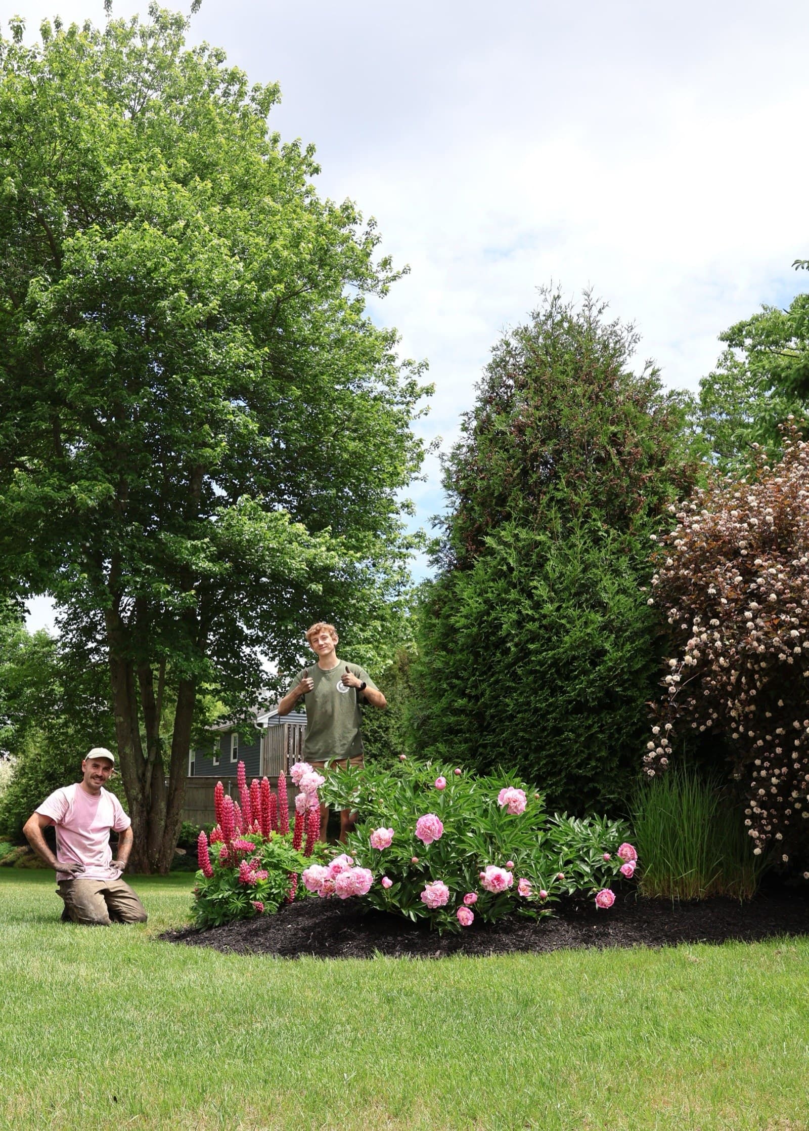 Landscape Design