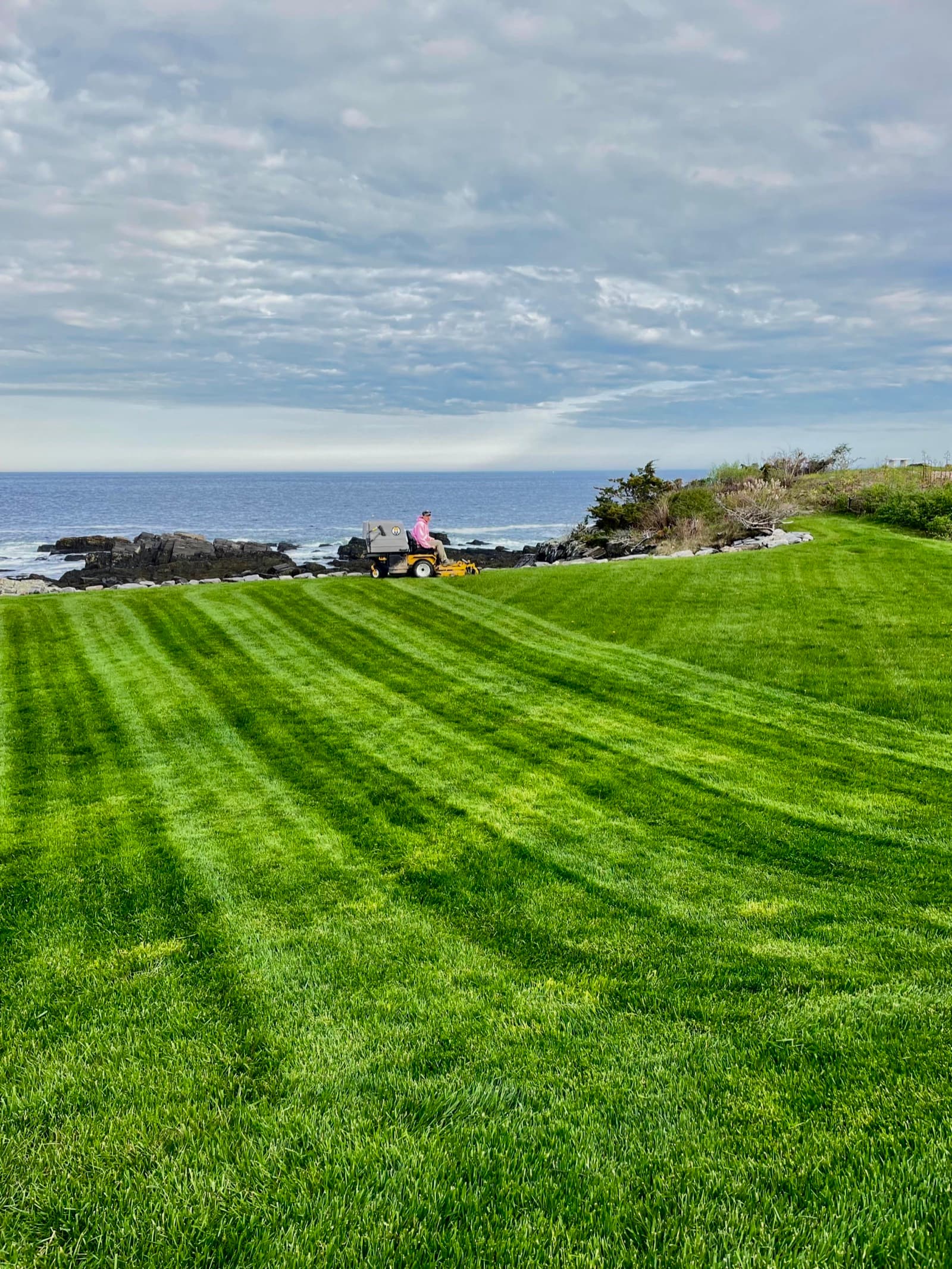 Lawn Care