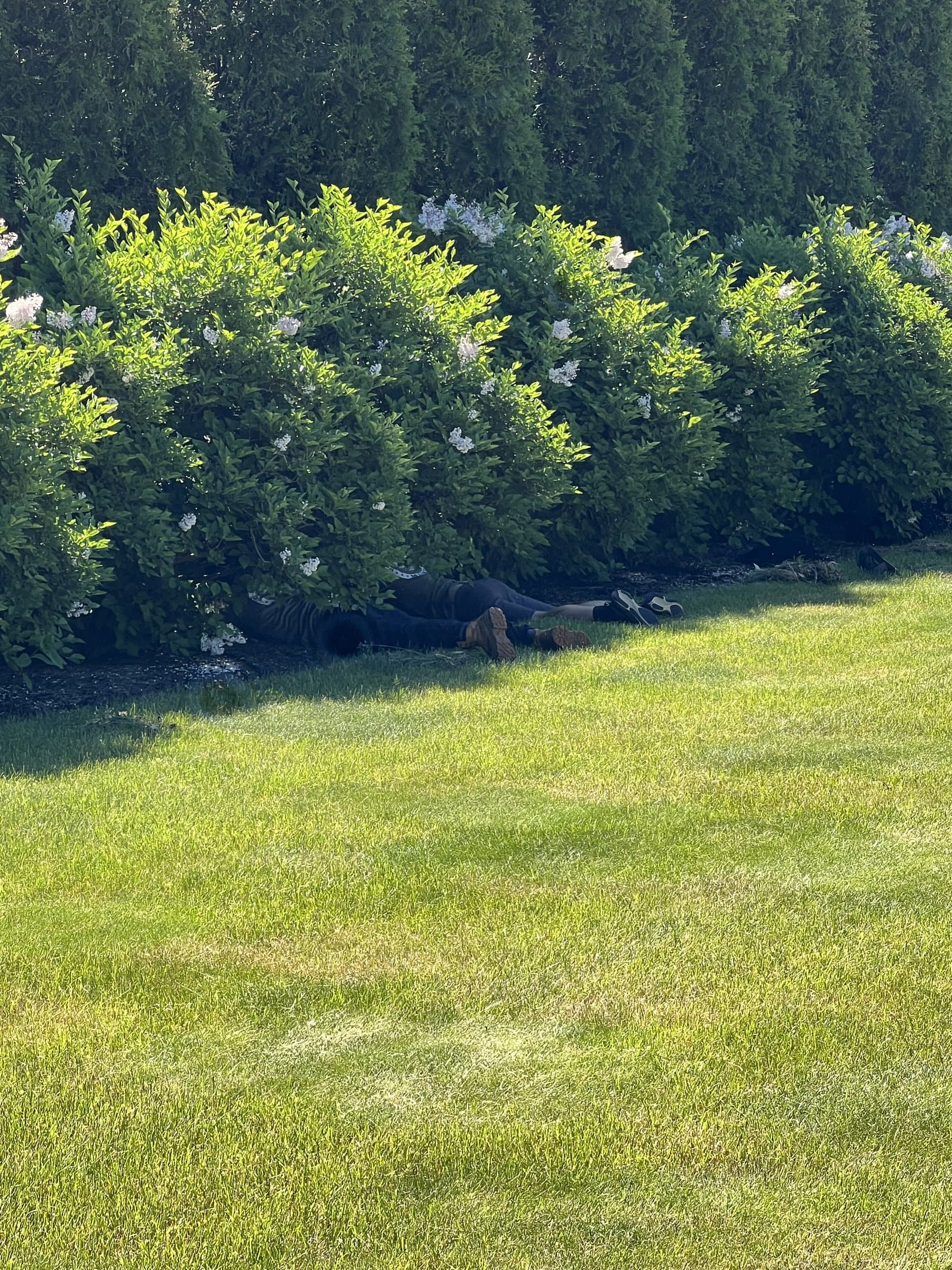 Landscape Maintenance
