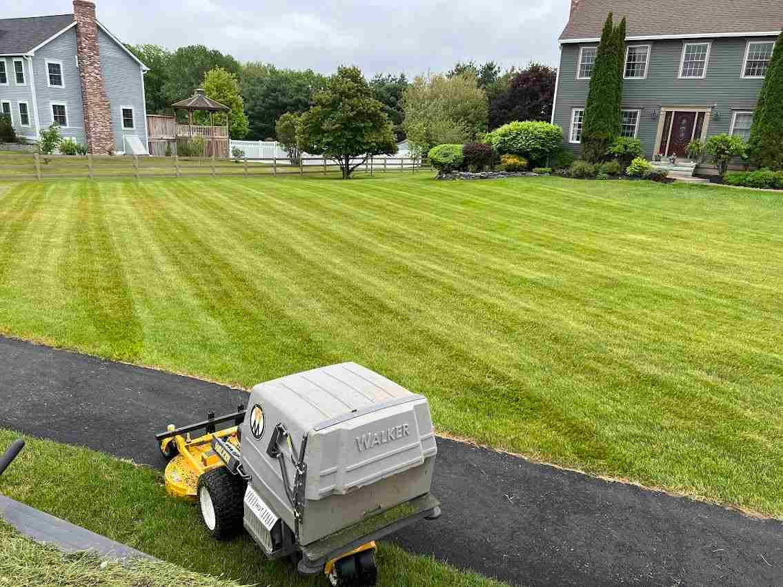 Estate lawns