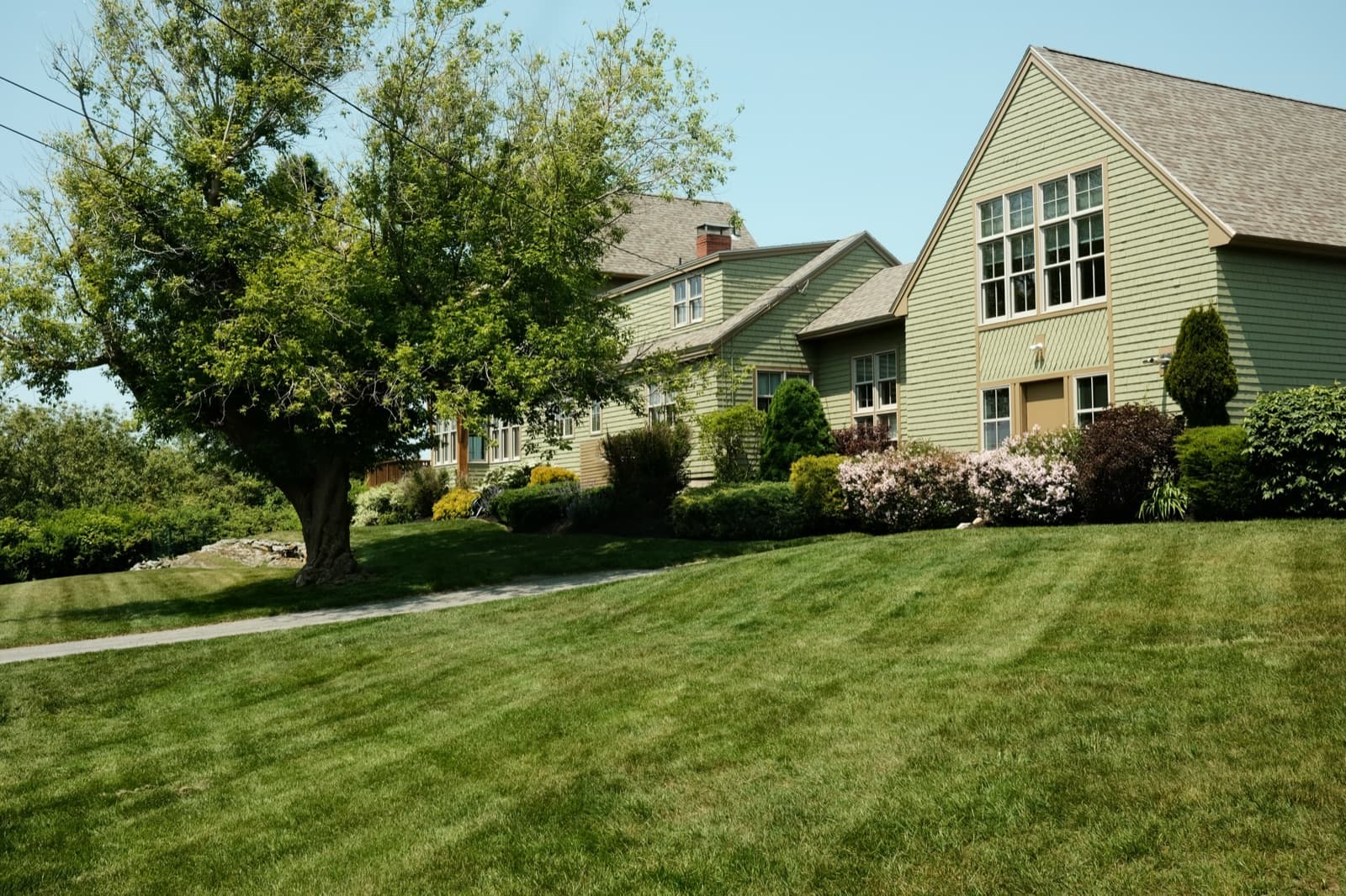 Estate Landscape