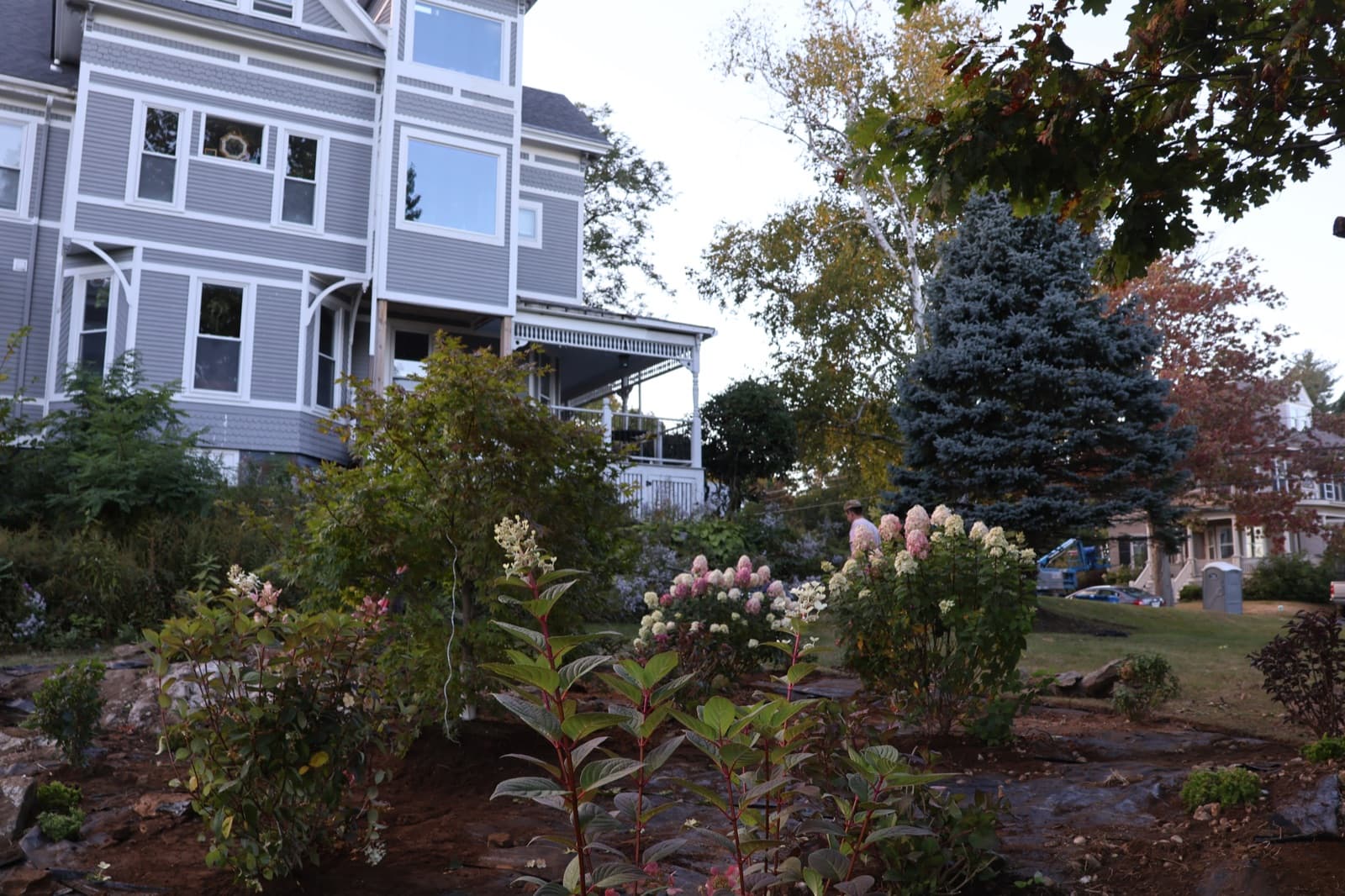 Rock Garden Planting