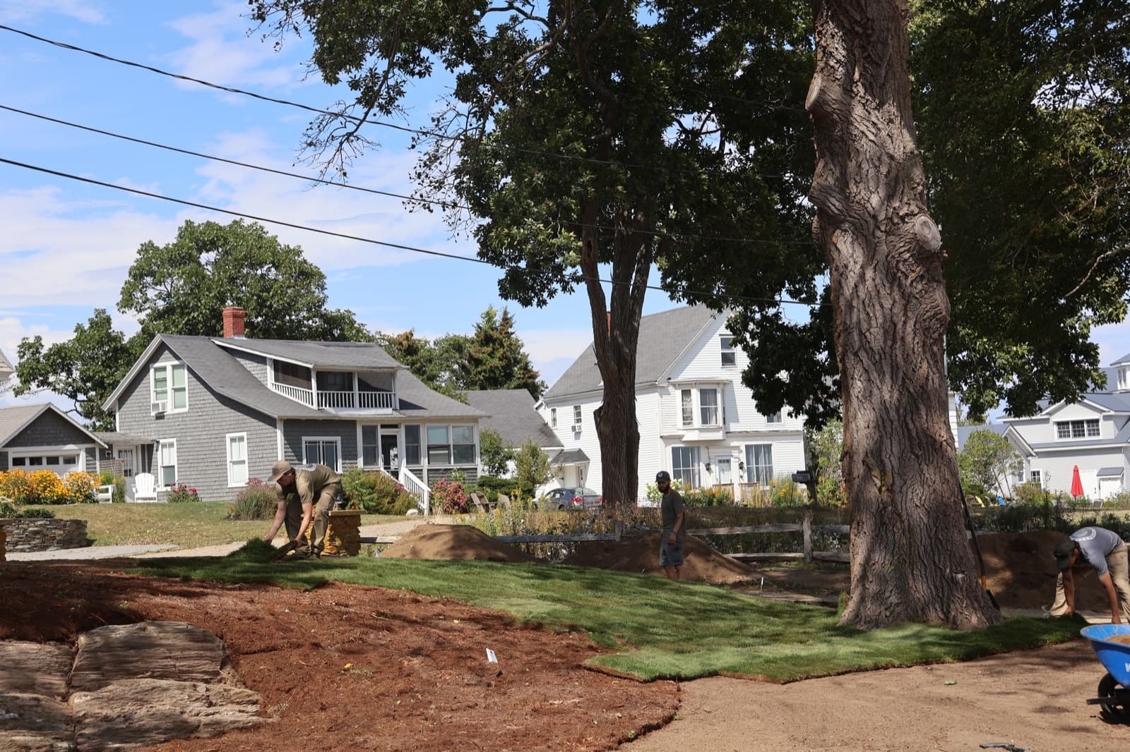Sod Installation