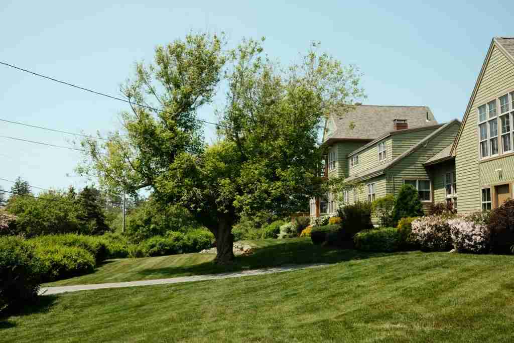 6_12 --59 (1) Coastal Maine landscape installation