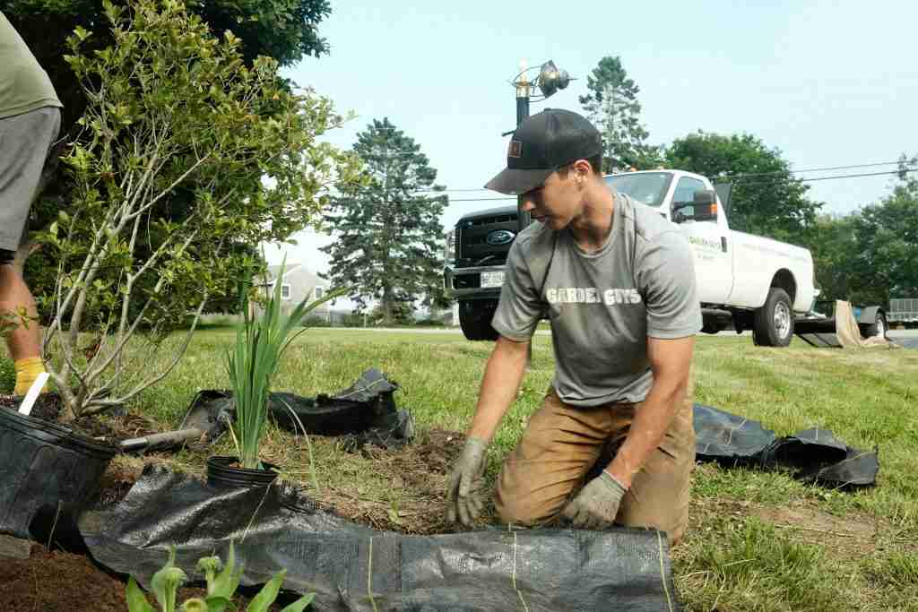 6_27 (install_brad)-12 (1) leaving plants for winter interest
