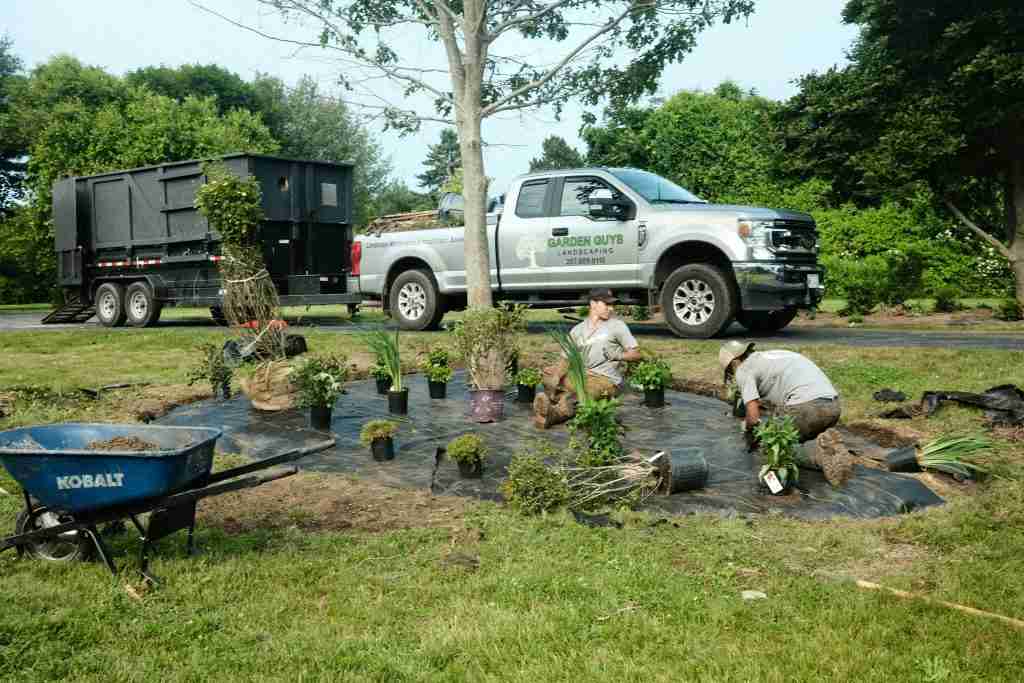 6_27 (install_brad)-37 (1) salt tolerant landscape plants Maine