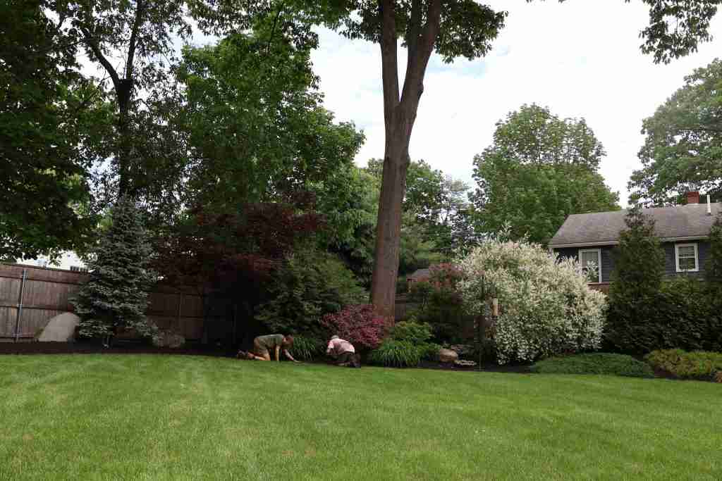 IMG_1417 fall landscape cleanup Southern Maine