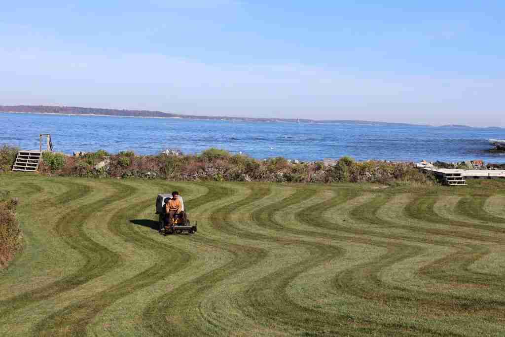 IMG_2406 lawn replacement Southern Maine