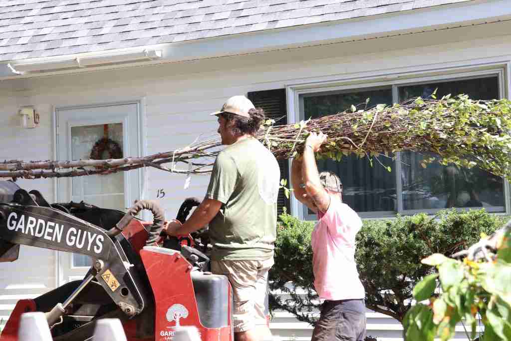 IMG_4162 phased landscape installation Maine