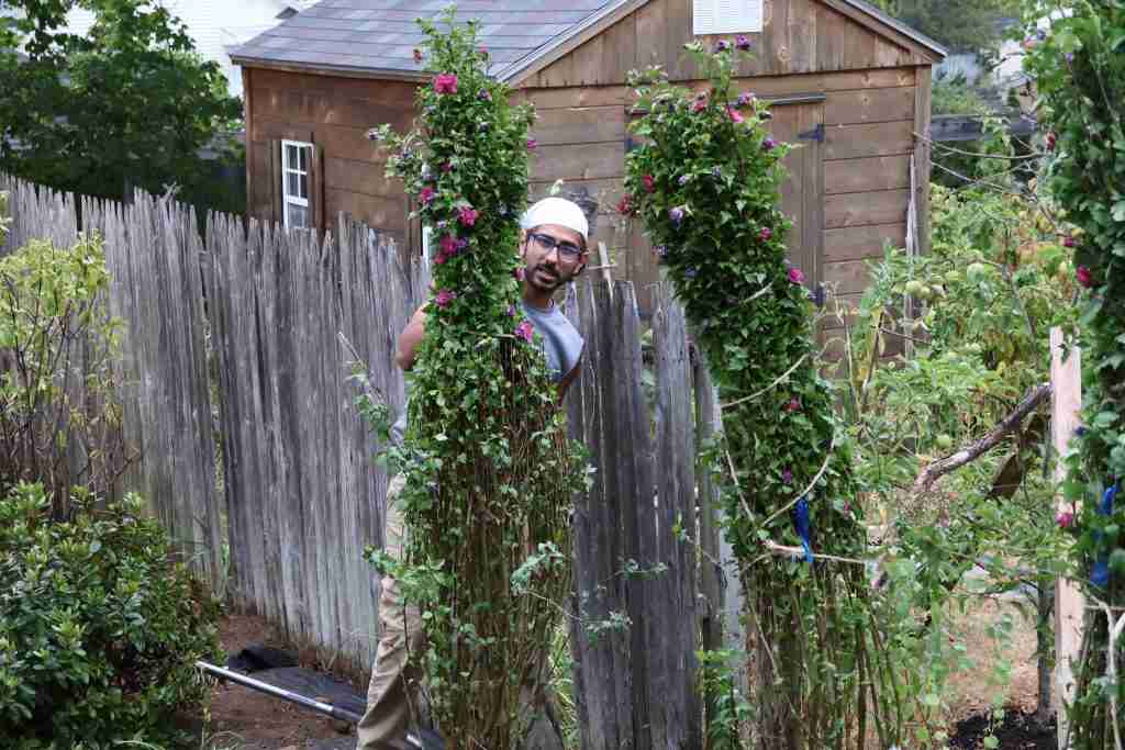 IMG_4218 seaside landscape design Maine