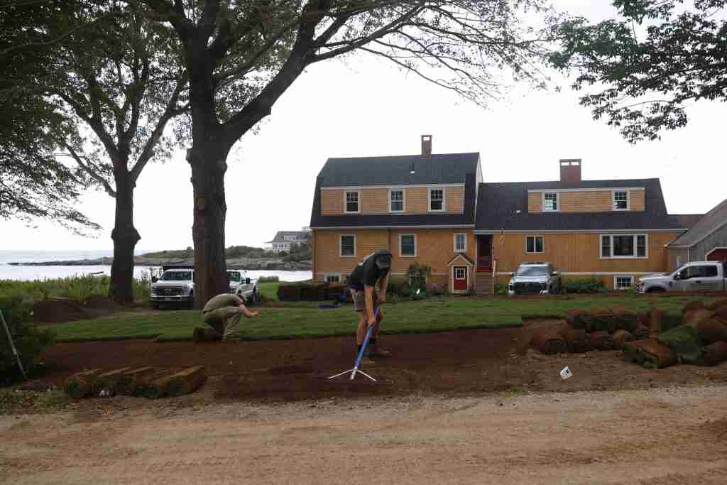 IMG_4297 low maintenance coastal landscape Maine