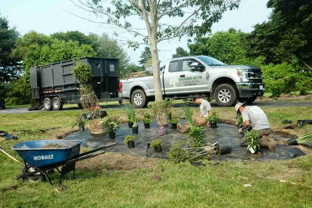 Junior and Brad among plants low upkeep landscape Southern Maine